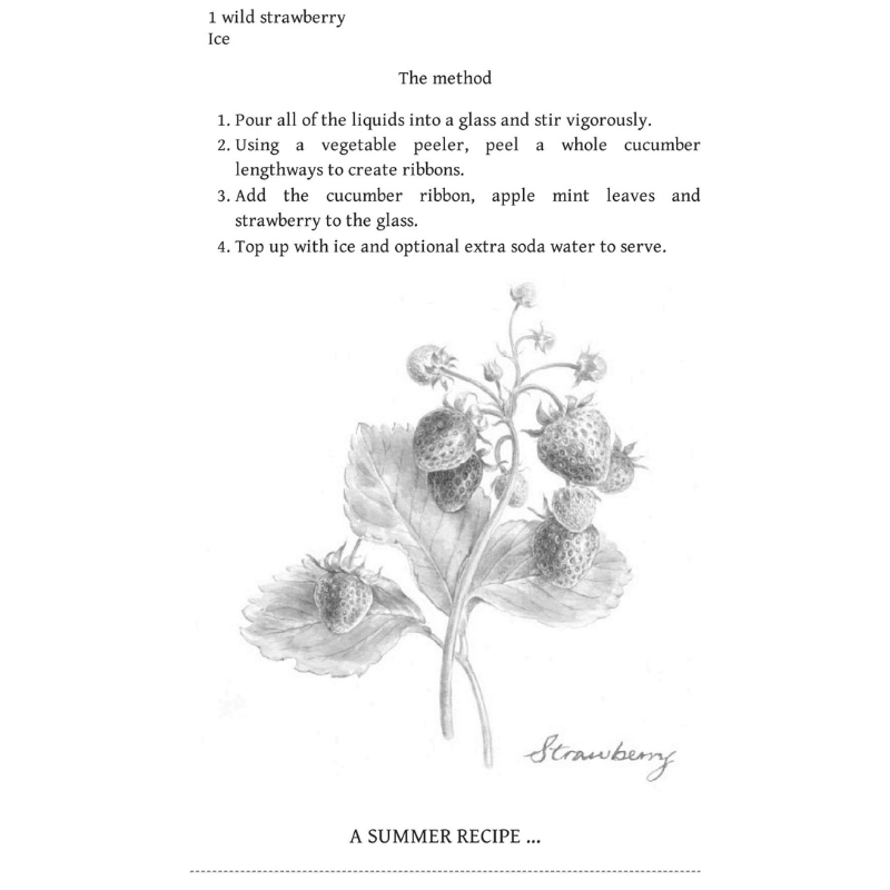 Hachette Books Evergreen | Discover the Joy in every Season | Lydia Millen