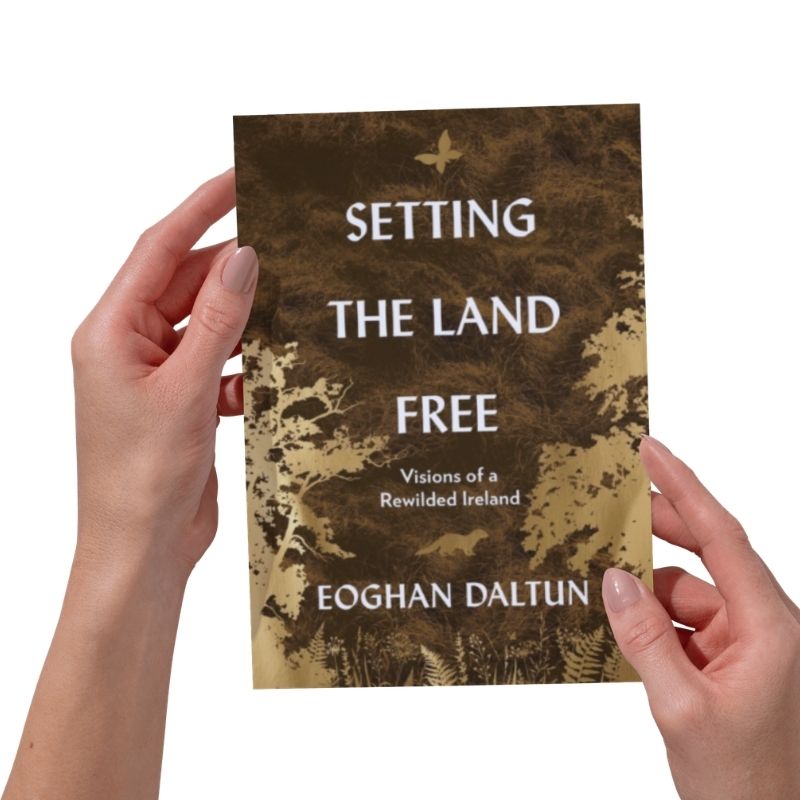 Hachette Books Setting the Land Free | Eoghan Daltun