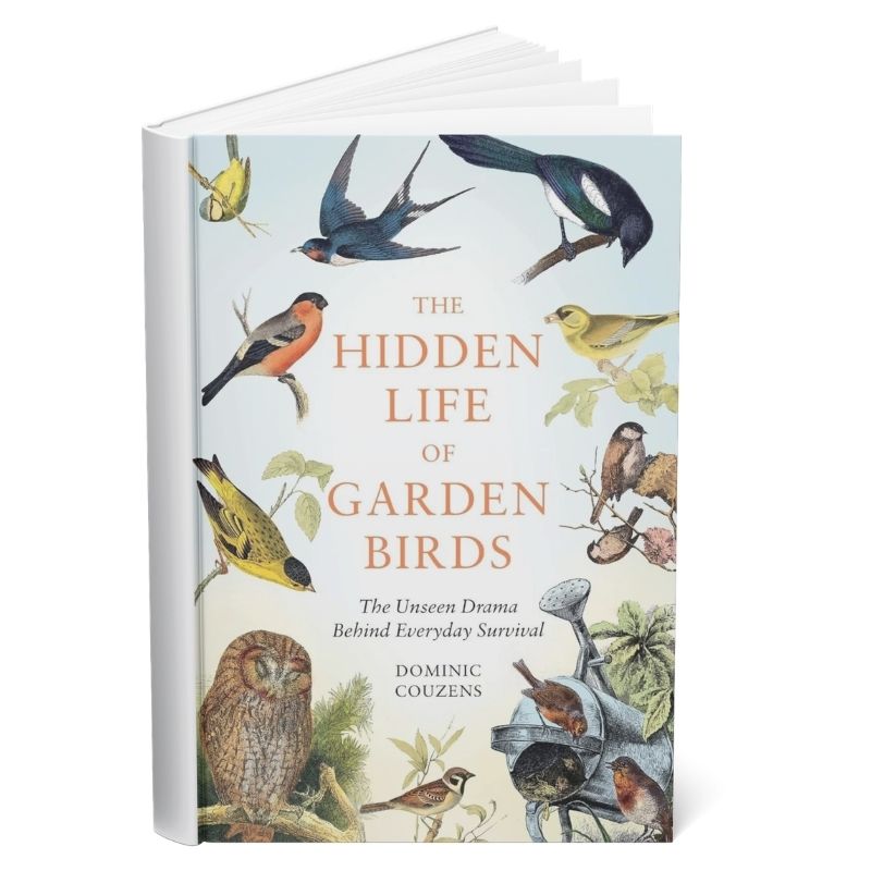 Hachette Books The Hidden Life of Garden Birds | Dominic Couzens