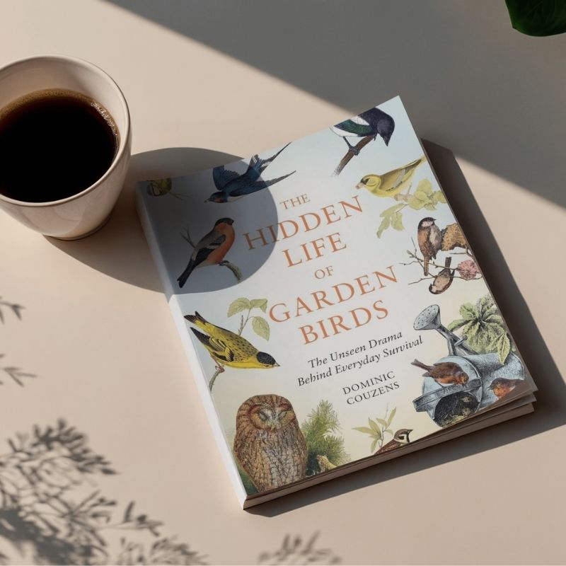 Hachette Books The Hidden Life of Garden Birds | Dominic Couzens