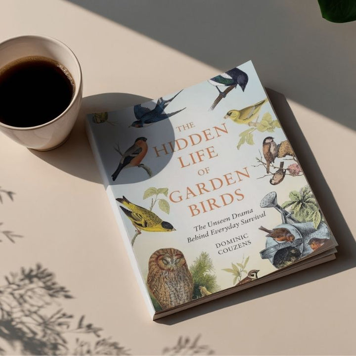 Hachette Books The Hidden Life of Garden Birds | Dominic Couzens