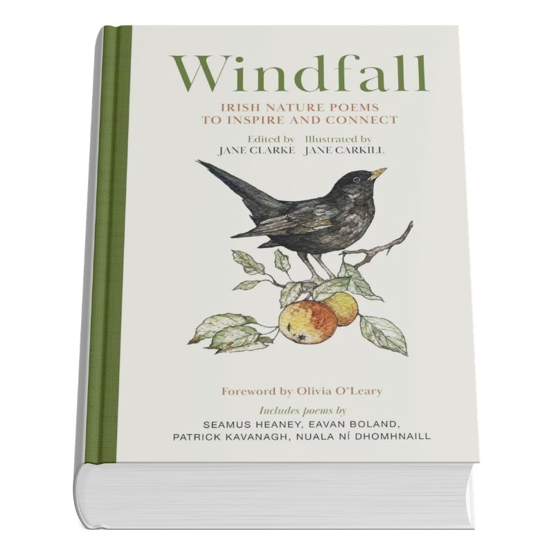 Hachette Books Windfall | Irish Nature Poems to Inspire & Connect