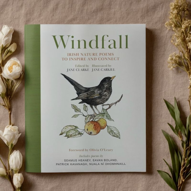 Hachette Books Windfall | Irish Nature Poems to Inspire & Connect
