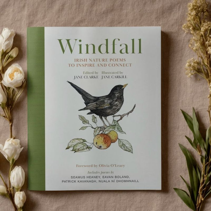 Hachette Books Windfall | Irish Nature Poems to Inspire & Connect