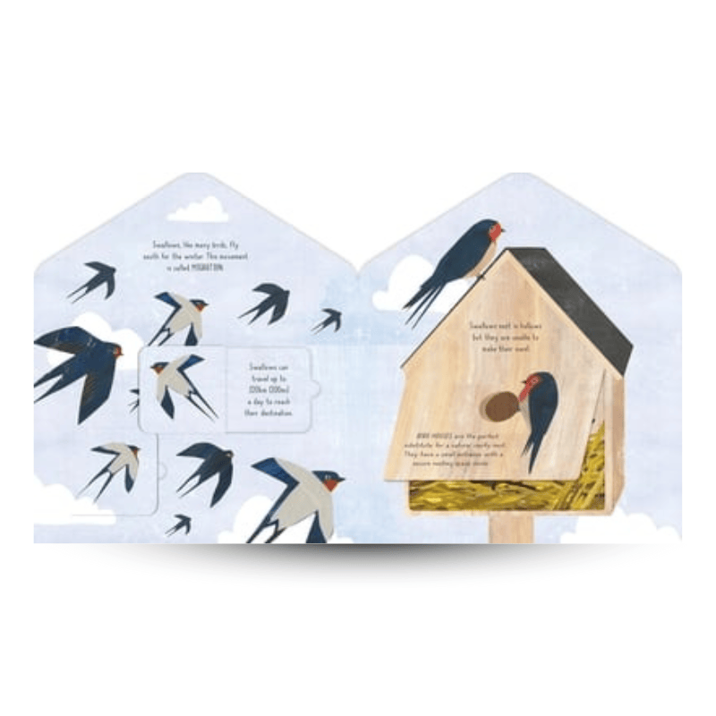 House of Marbles Books Bird House