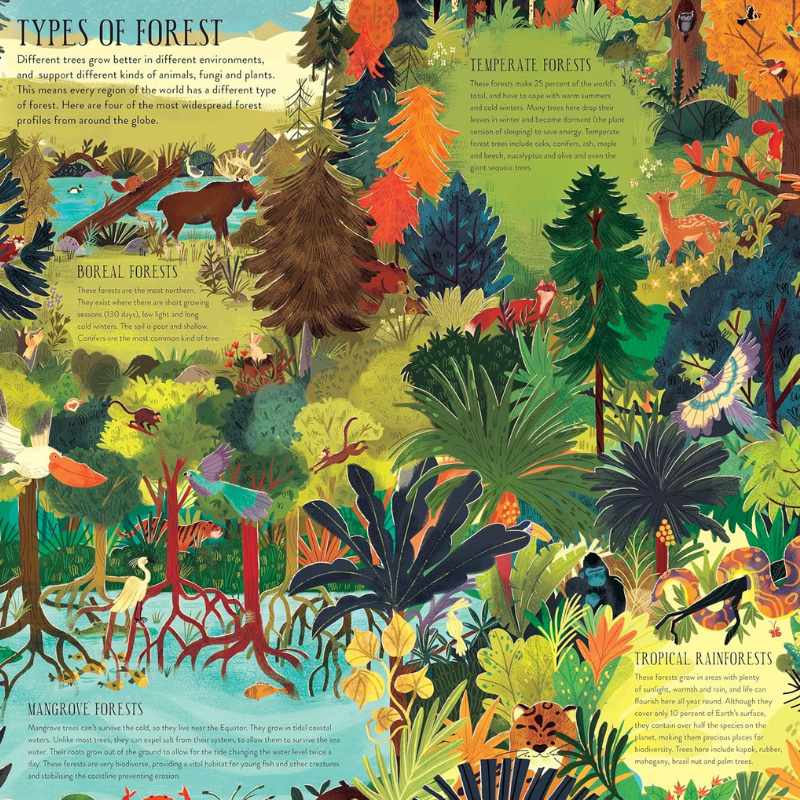 House of Marbles Books Build A Tree Make & Play