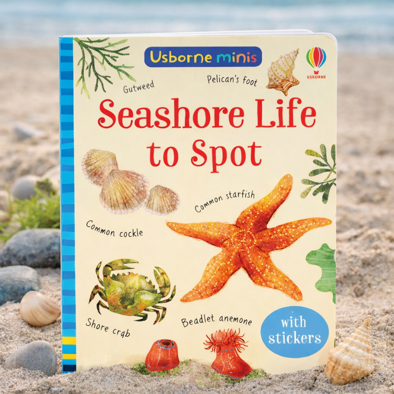 House of Marbles Books Mini Seashore Life to Spot