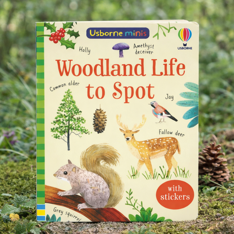 House of Marbles Books Mini Woodland Life to Spot