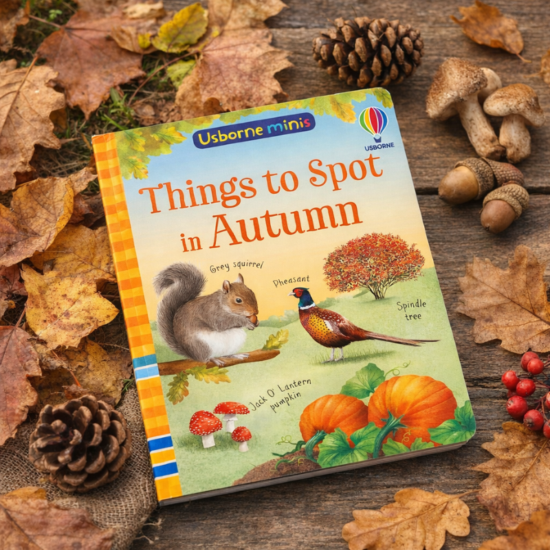 House of Marbles Books Things to spot in Autumn