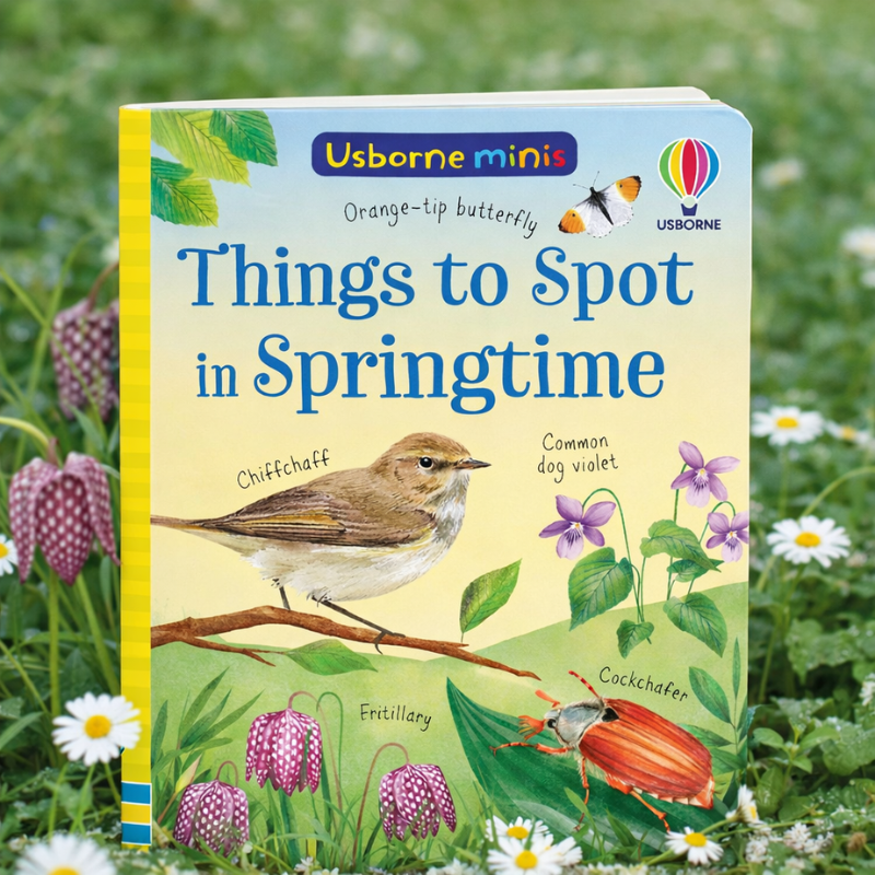 House of Marbles Books Things to spot in Springtime