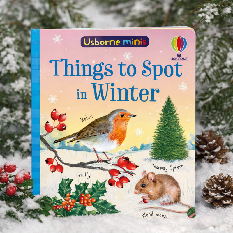 House of Marbles Books Things to spot in Winter