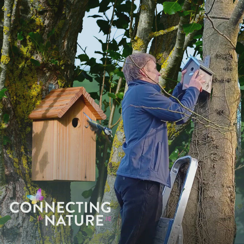 Open Fronted Nest Box | Suitable for Robins