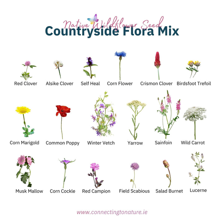 Blooming Native Countryside Flora - Farmland Wildflower Seed Mix