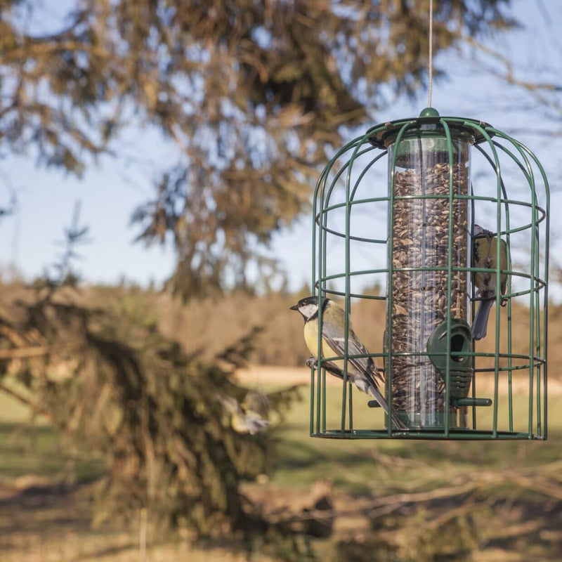 Blooming Native  Squirrel and Large Bird Proof Wild Bird Seed Feeder