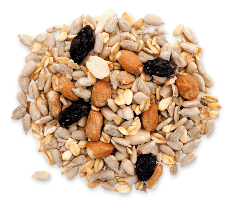  Wild Bird seed Hi, Energy, No Mess Wild Bird Seed Mix