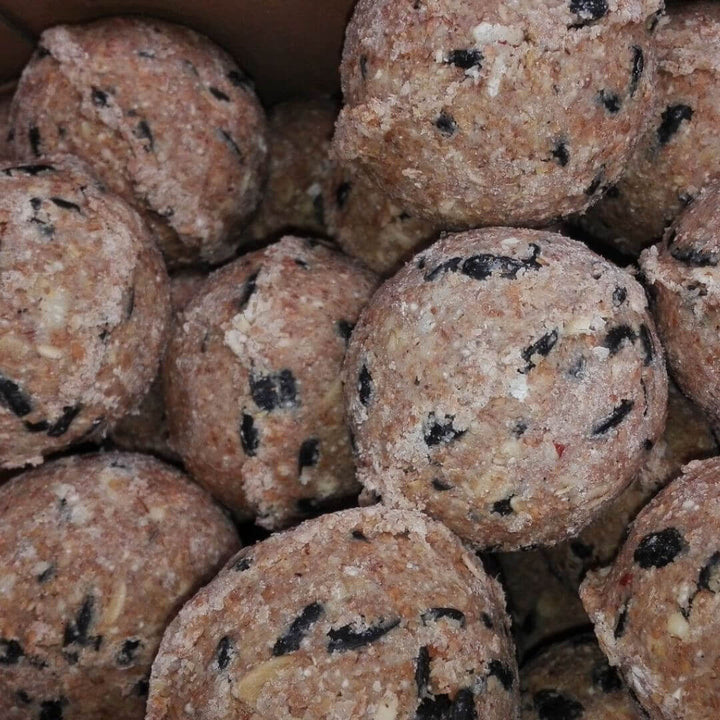 Blooming Native  Wild Bird Seed Original Fat Balls