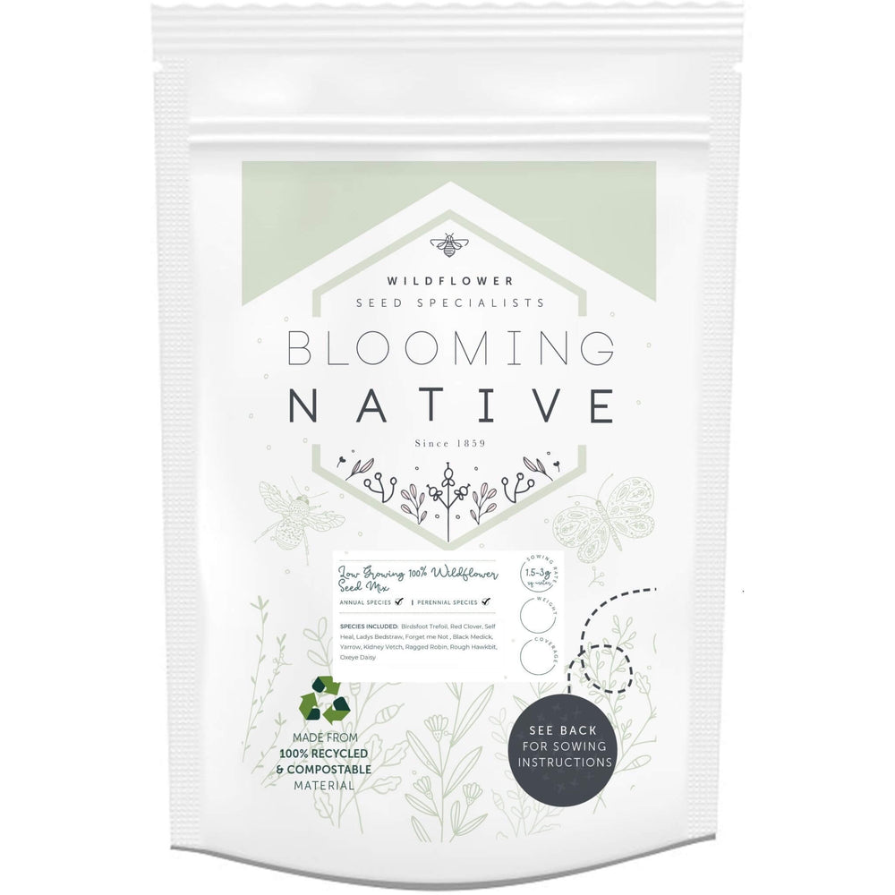 BloomingNative Wildflower Seed Only Low Growing 100% Wildflower Seed Mix Large Bag