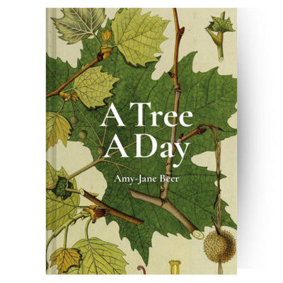 Connecting to Nature book A Tree A Day | Amy-Jane Beer