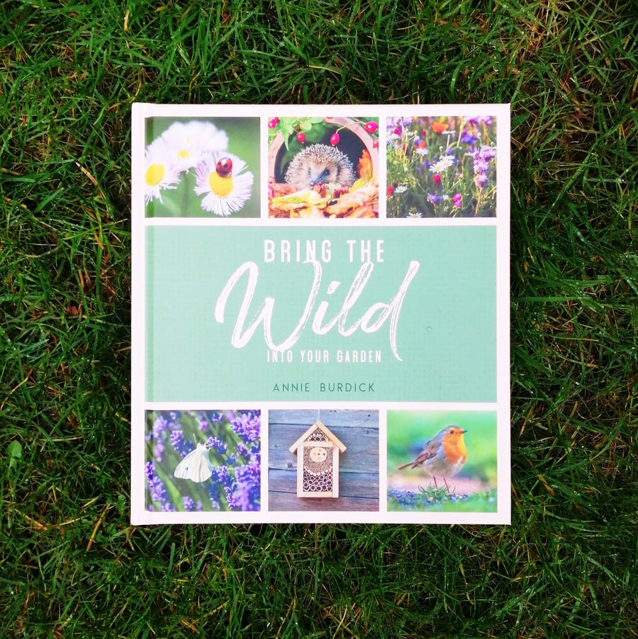Connecting to Nature book Bring the Wild into Your Garden | Simple Tips for Creating a Wildlife Haven