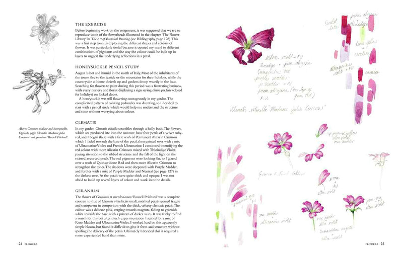 Connecting to Nature Books Botanical Sketchbook | Drawing, painting and illustration for botanical artists