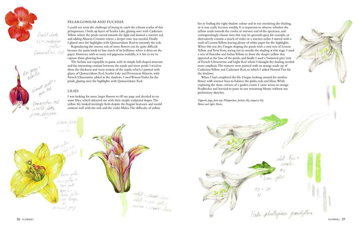 Connecting to Nature Books Botanical Sketchbook | Drawing, painting and illustration for botanical artists