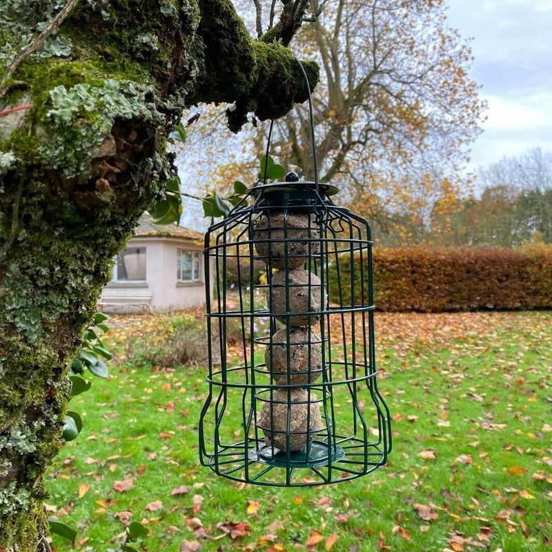 Connecting to Nature Copy of Squirrel and Large Bird Proof Wild Bird Seed Feeder