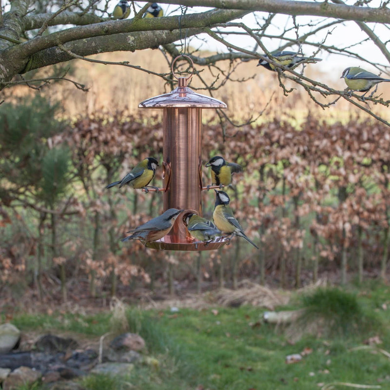 Connecting to Nature Durable Copper Bird Seed Feeder