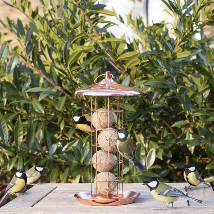 Connecting to Nature Durable Copper Fat Ball Feeder