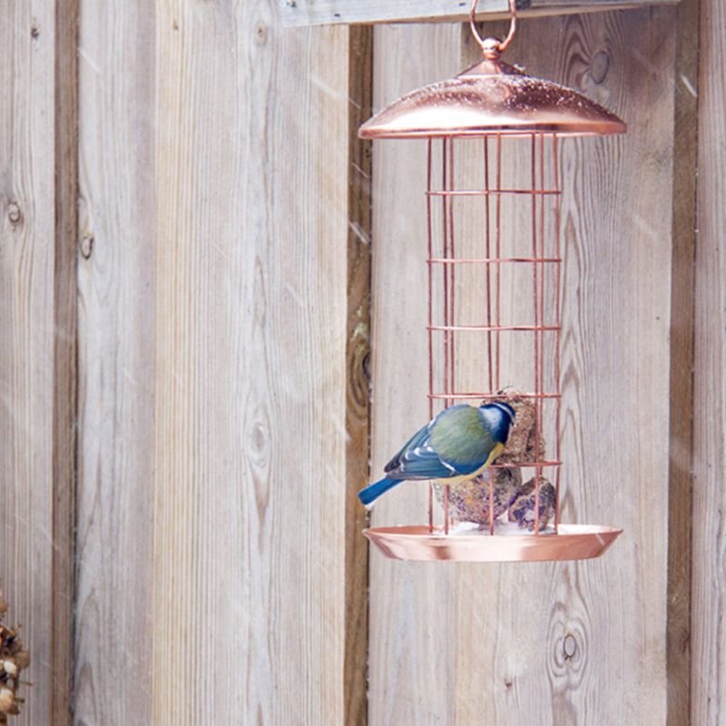 Connecting to Nature Durable Copper Fat Ball Feeder