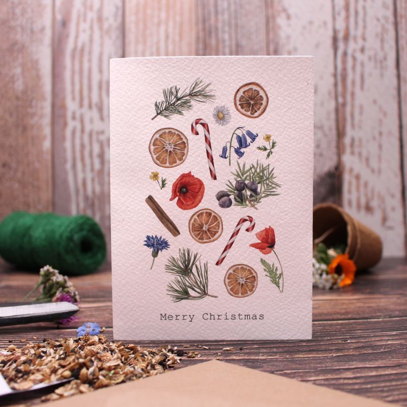 Connecting to Nature Gift Cards Christmas Card & Wildflower Seeds | Christmas treats and flowers