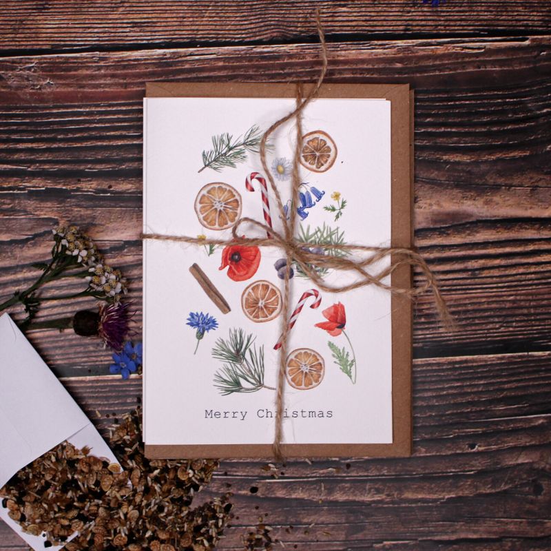 Connecting to Nature Gift Cards Christmas Card & Wildflower Seeds | Christmas treats and flowers