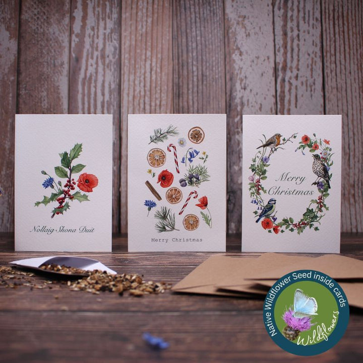 Connecting to Nature Gift Cards Christmas Cards | Pack of 3 | Wildflower seed packet inside each card