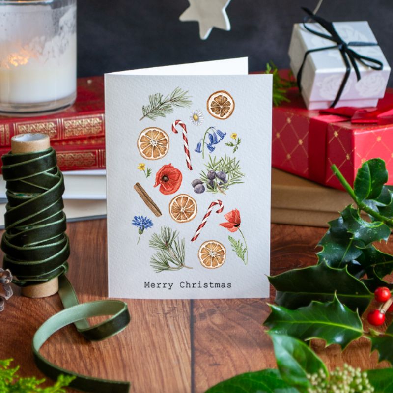 Connecting to Nature Gift Cards Christmas Cards | Pack of 3 | Wildflower seed packet inside each card