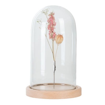 Connecting to Nature Glass cloche with clip | Small