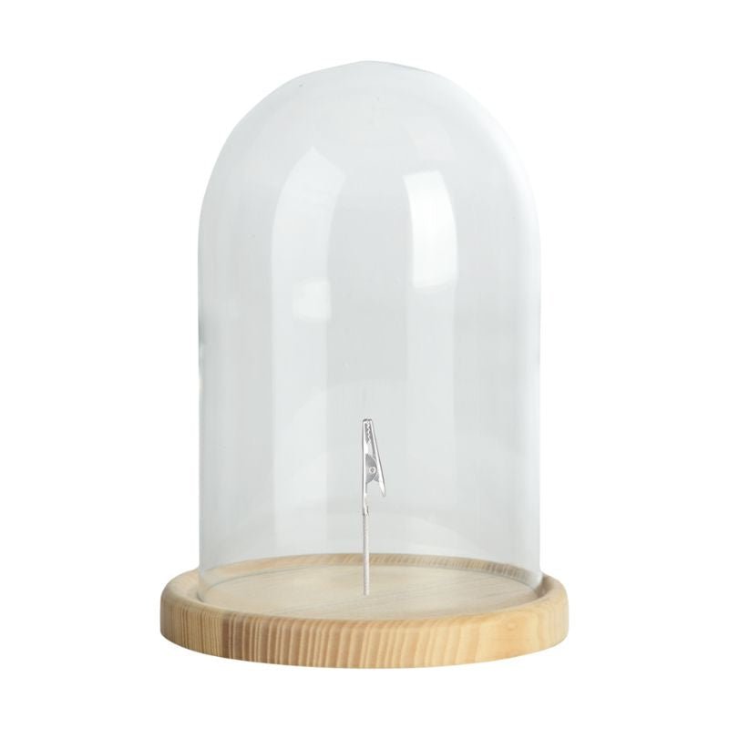 Connecting to Nature Glass cloche with clip | Small