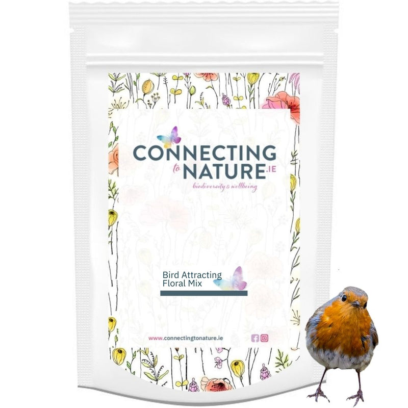 Connecting to Nature Grow a Natural Bird Feeder Mix