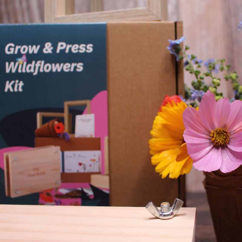 Connecting to Nature Grow and Press Wildflowers Gift Box