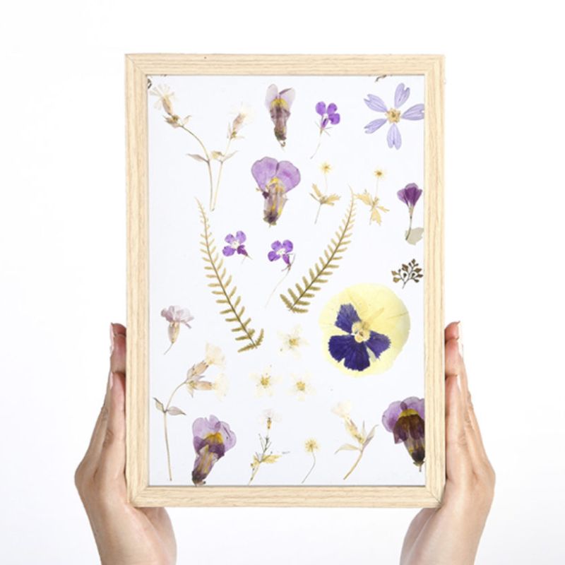 Connecting to Nature Home & Garden Large floating frame for displaying pressed flowers