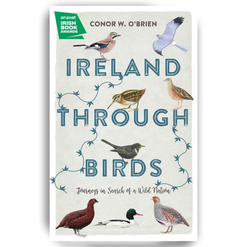 Connecting to Nature Ireland Through Birds: Journeys in Search of a Wild Nation