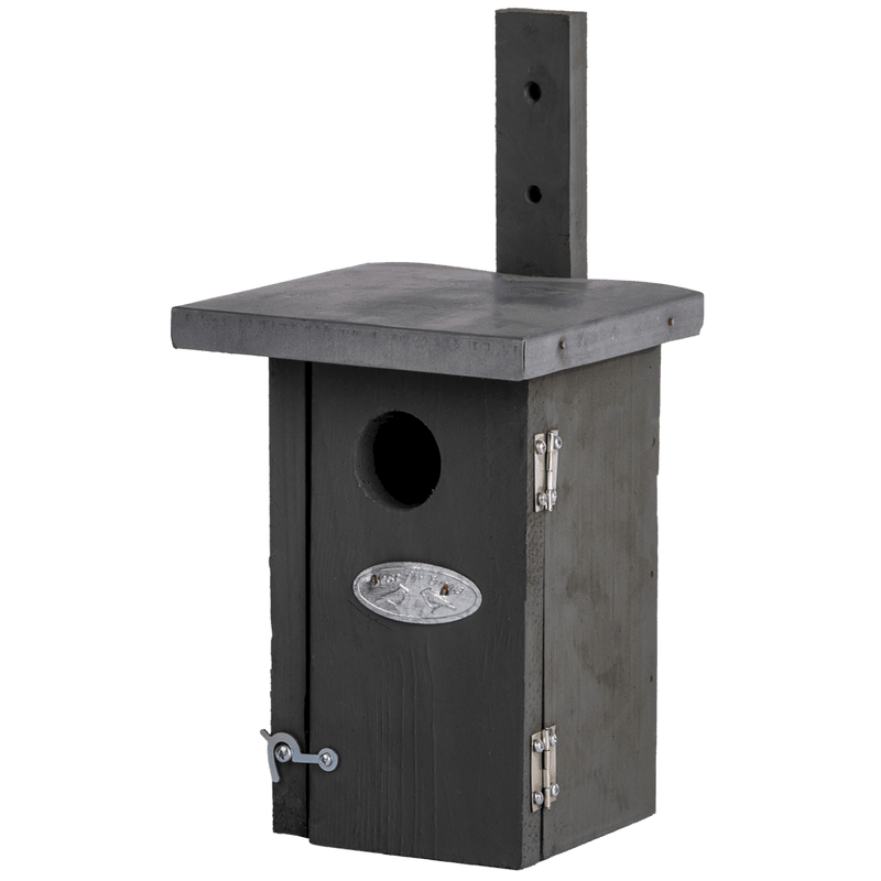 Connecting to Nature Nest Box Wren Grey