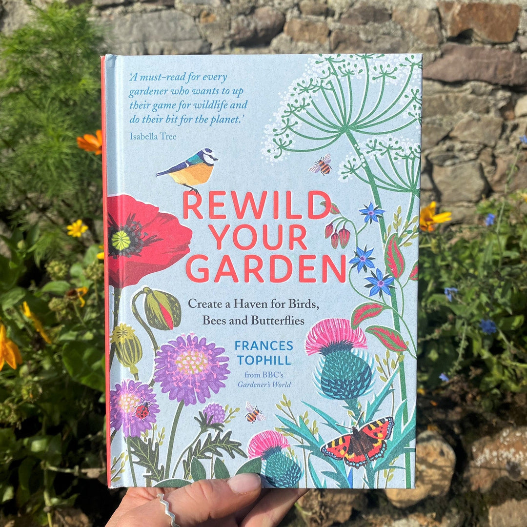 Connecting to Nature Rewild Your Garden | Create a Haven for Birds, Bees and Butterflies