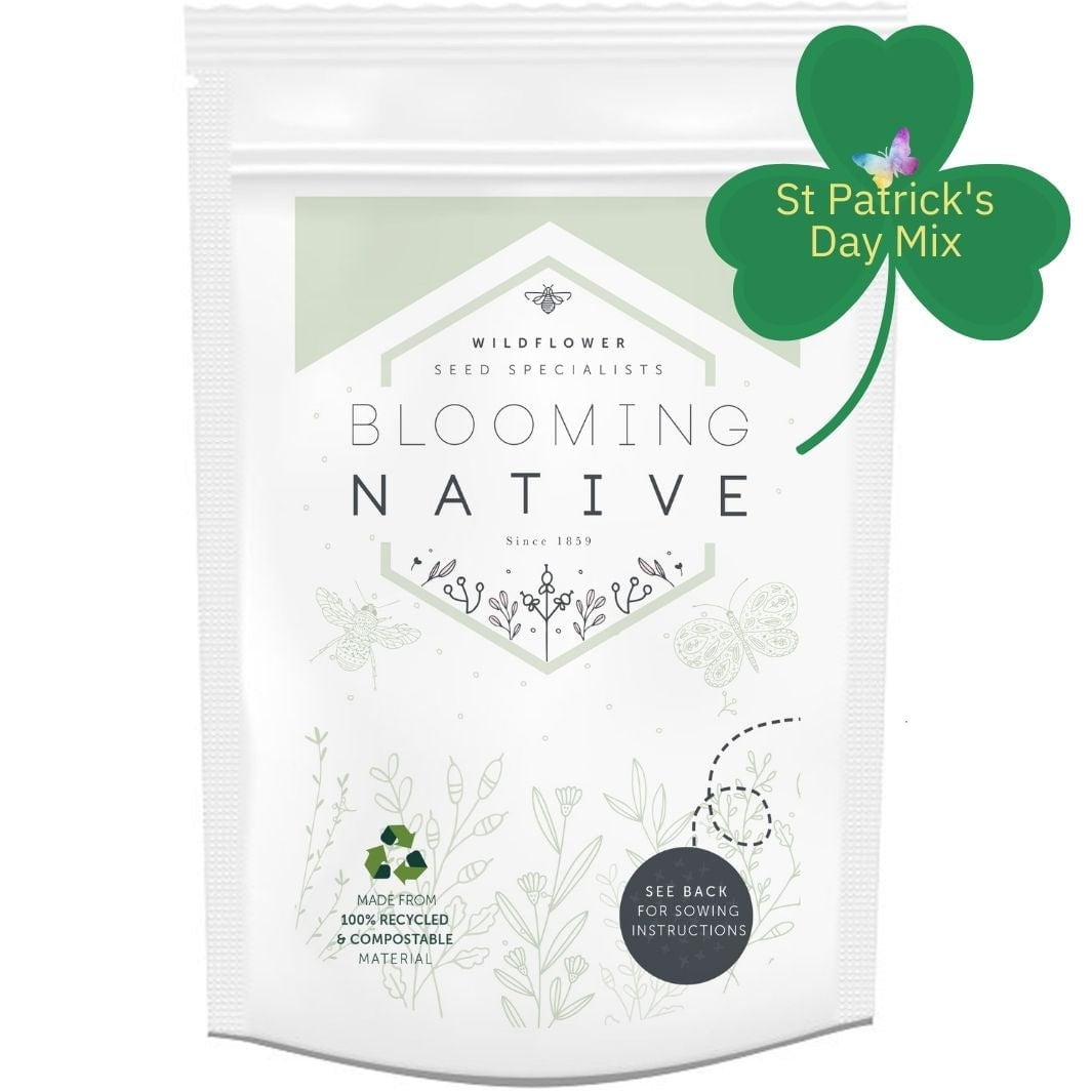 Connecting to Nature St Patrick's Day Native Wildflower Seed Mix | Shamrock Flowers