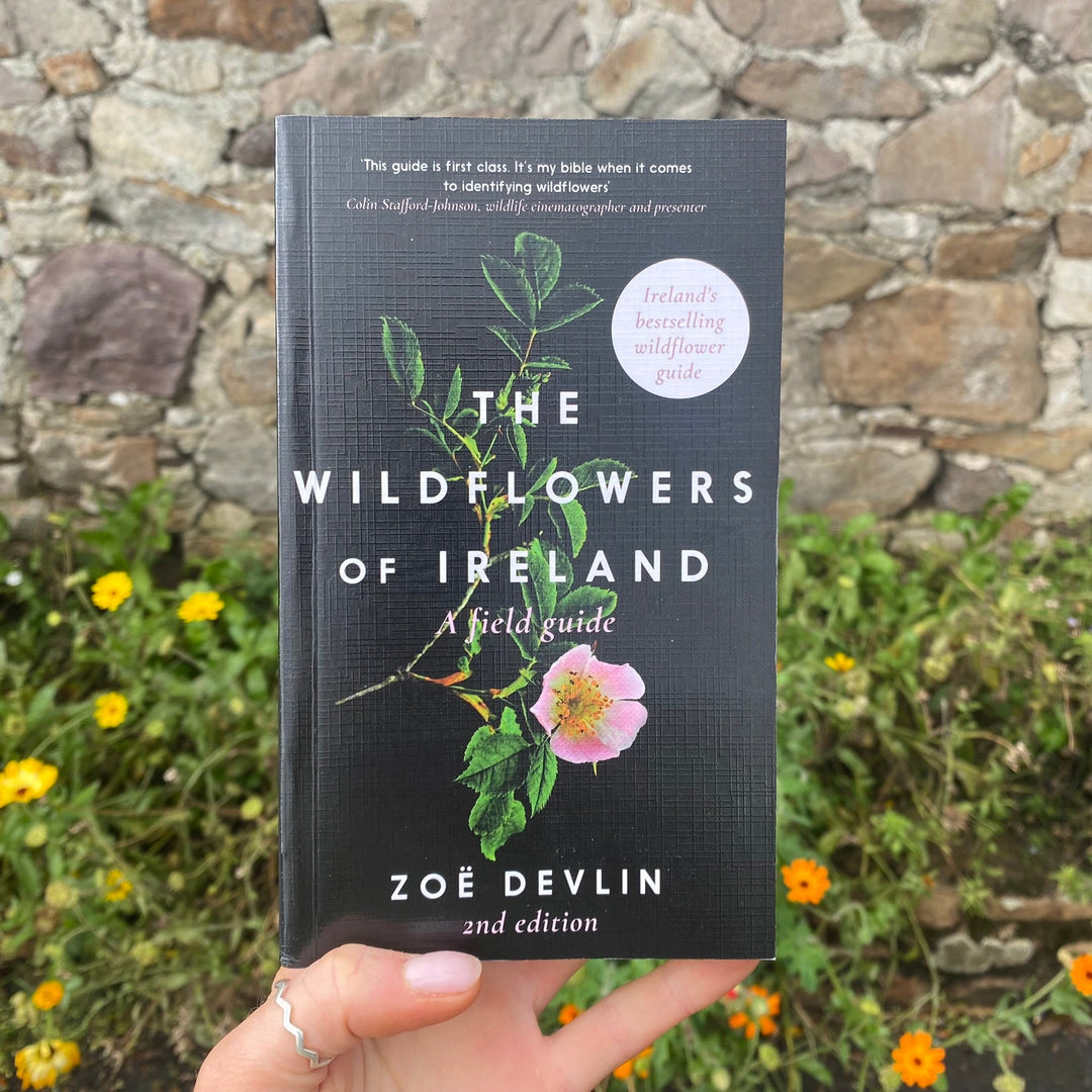 Connecting to Nature The Wildflowers of Ireland, Zoe Devlin | with wildflower seeds