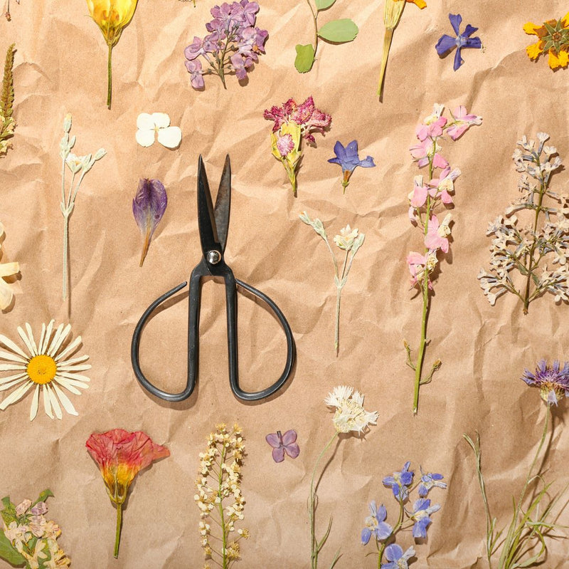 Connecting to Nature Traditional Wooden Flower Press