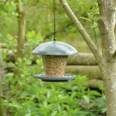 Connecting to Nature Wild Bird feeder Seed dispenser