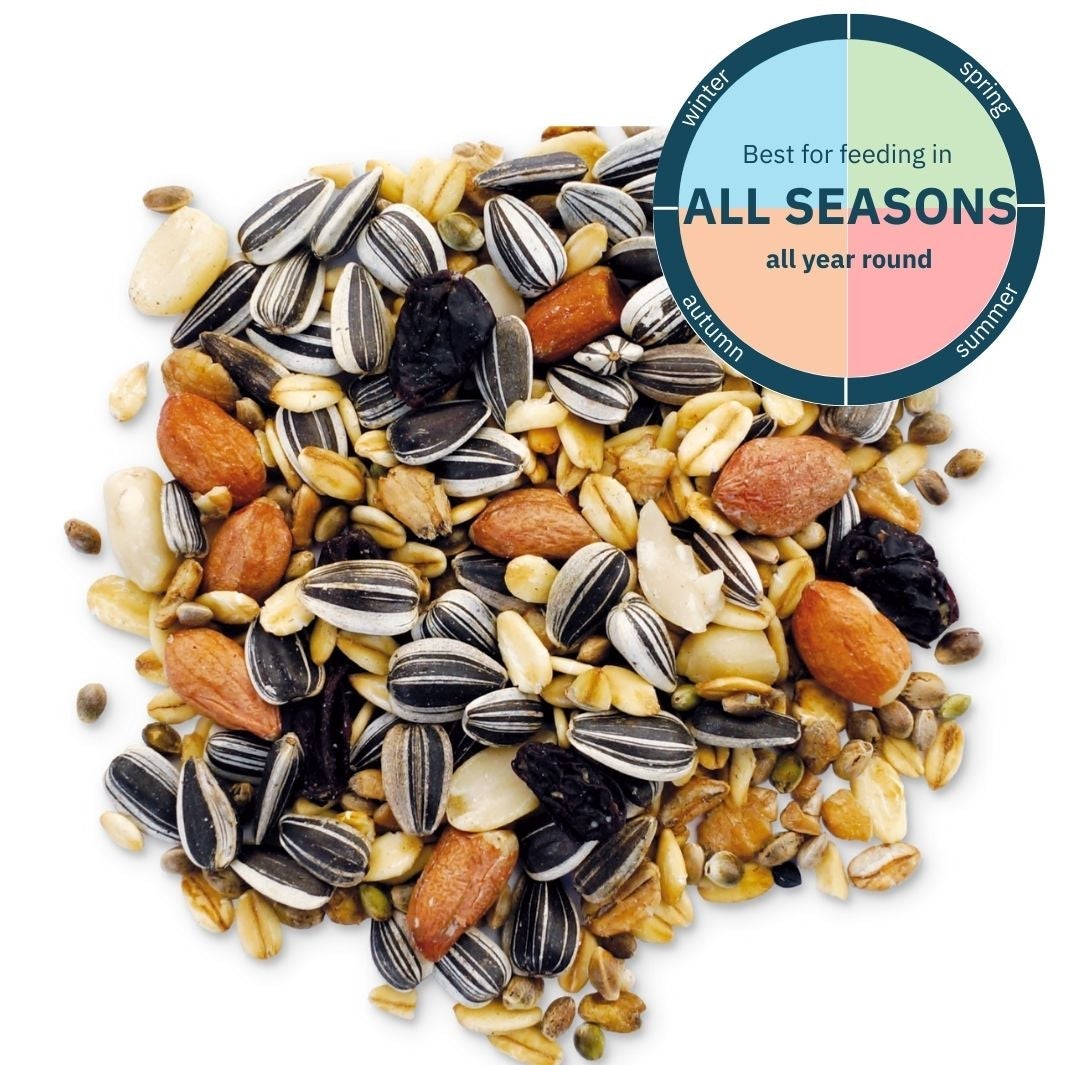 Mixed on sale bird seed