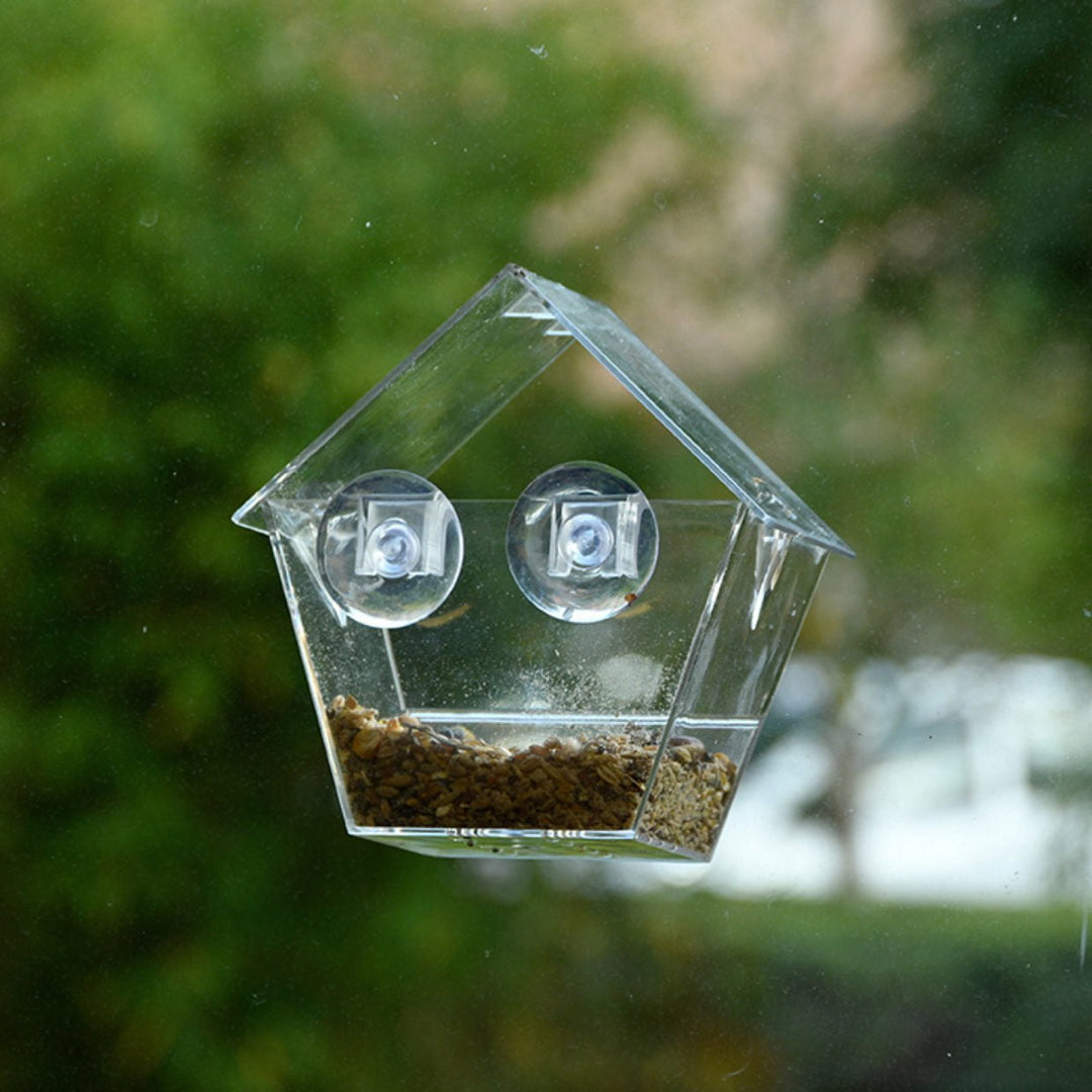 Connecting to Nature Window Bird Feeder House