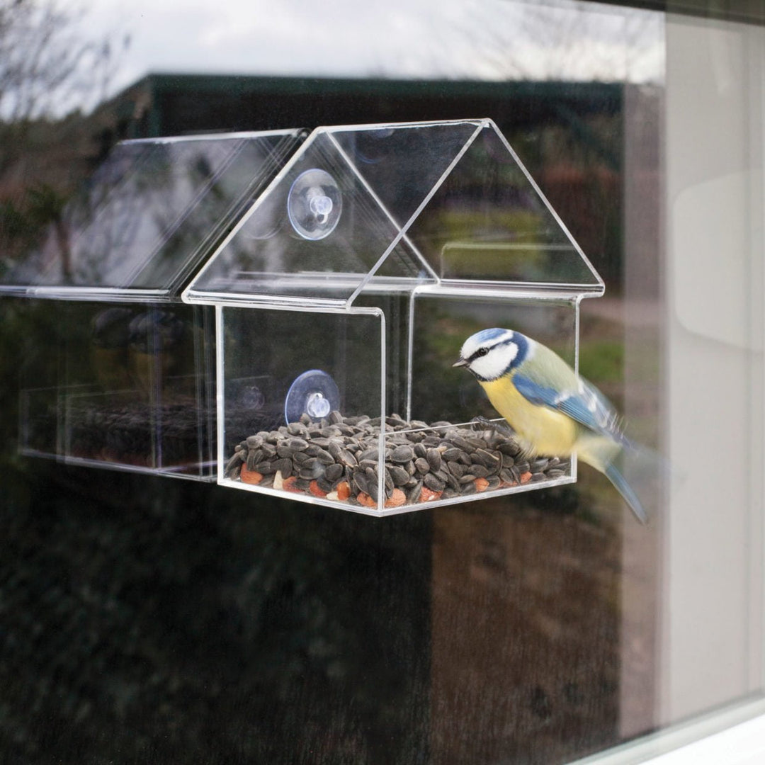 Connecting to Nature Window Bird Feeder House | with suction cups
